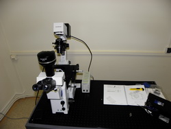 microscop inversat